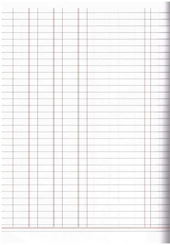 Aisling Business Studies Record Book 2 - ASB2
