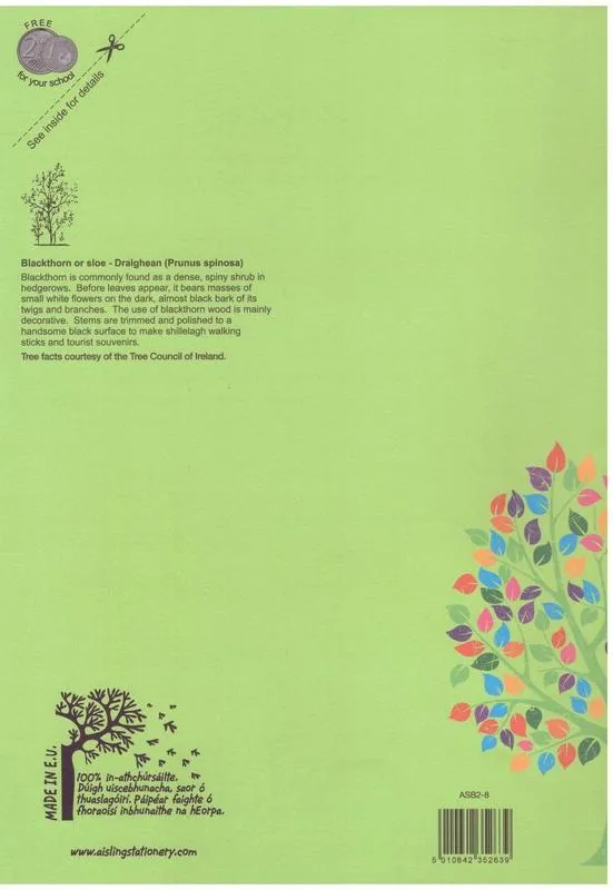 Aisling Business Studies Record Book 2 - ASB2