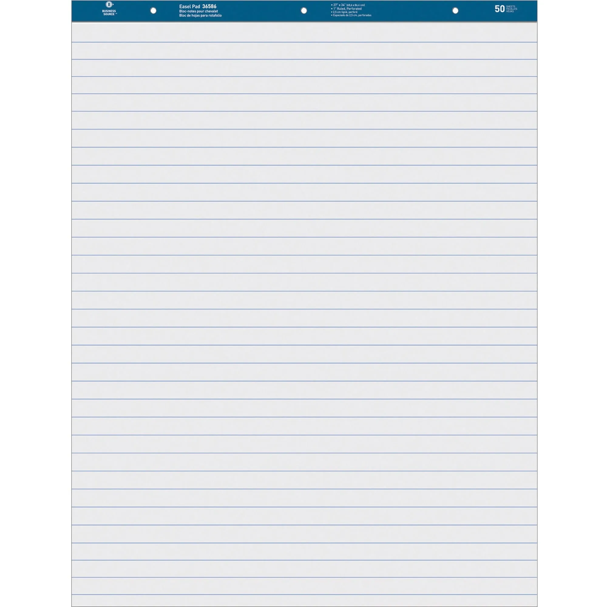 Business Source Standard Ruled Easel Pad