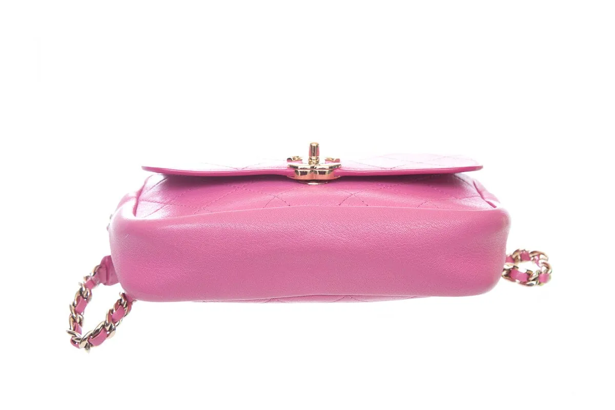 Chanel 2018/19 Pink Quilted Casual Trip Belt Bag
