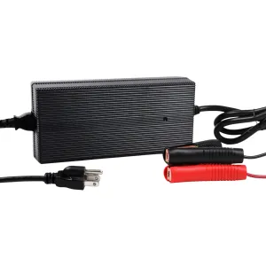 Chargeur intelligent pour batterie "LiFePO4"
