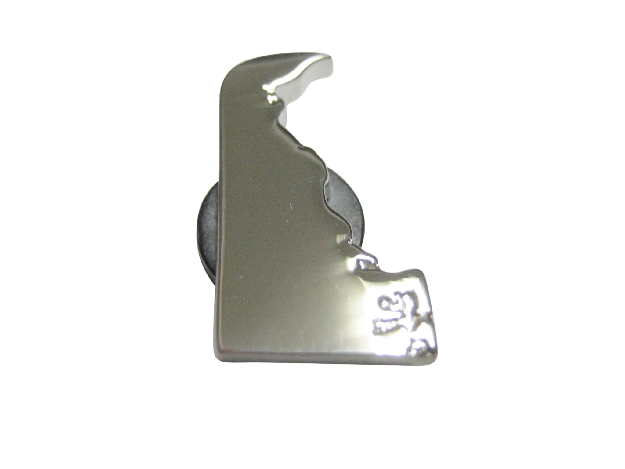 Delaware State Map Shape Magnet