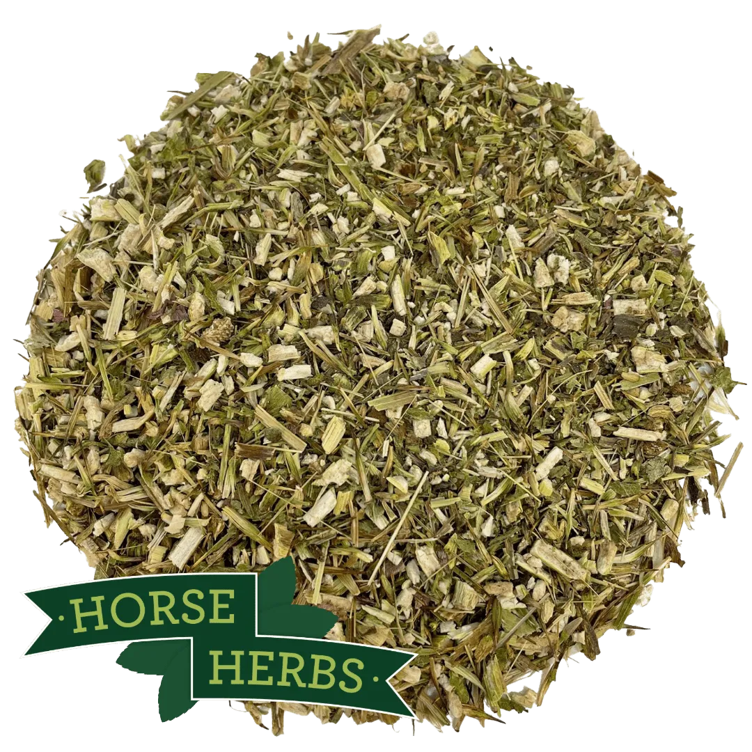 Echinacea Herb Cut