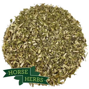 Echinacea Herb Cut