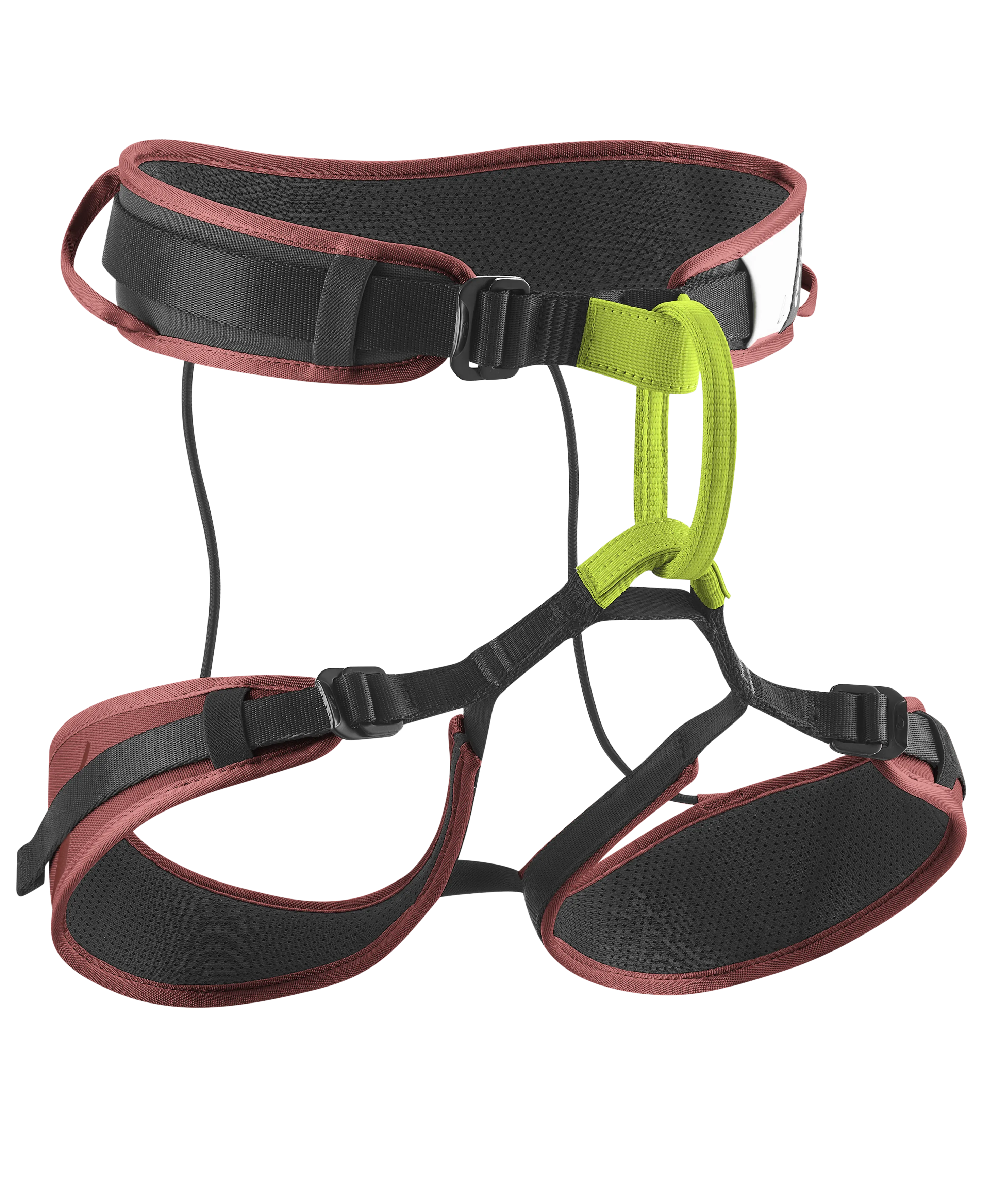 EDELRID Zack Gym Harness