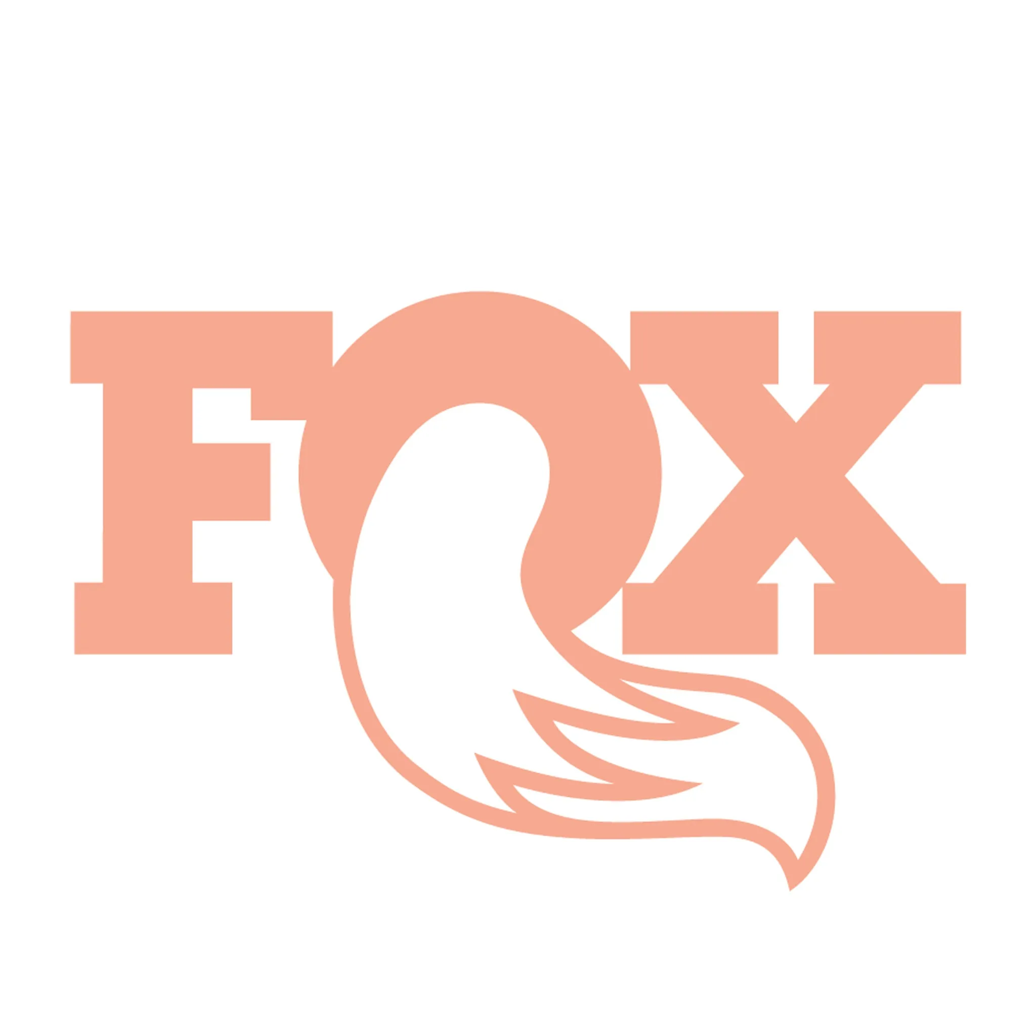 Fox 36 air shafts