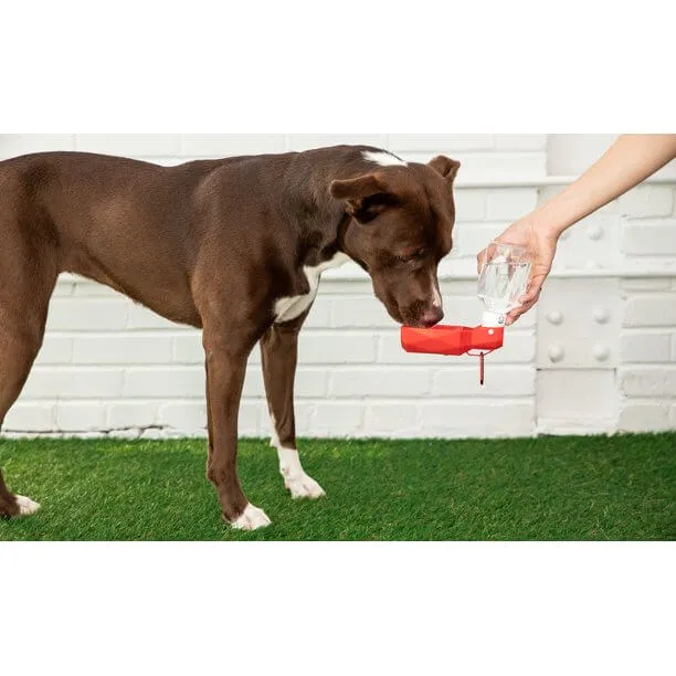 GF Pet Water Bottle
