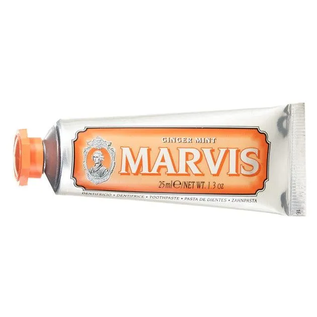 Ginger Mint Travel Toothpaste