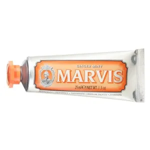 Ginger Mint Travel Toothpaste