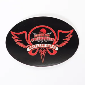 Hotflash Helmet Sticker