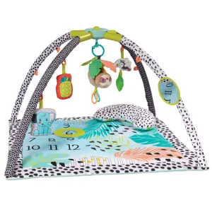 Milestone Moments | Newborn Portable Baby Play Mat | Baby Gym