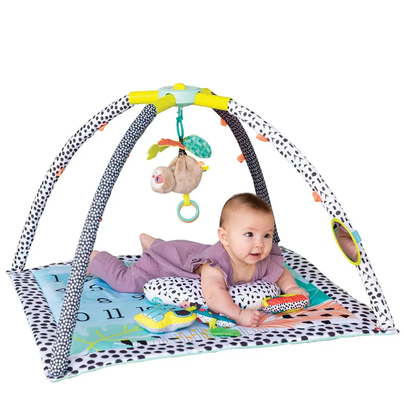 Milestone Moments | Newborn Portable Baby Play Mat | Baby Gym
