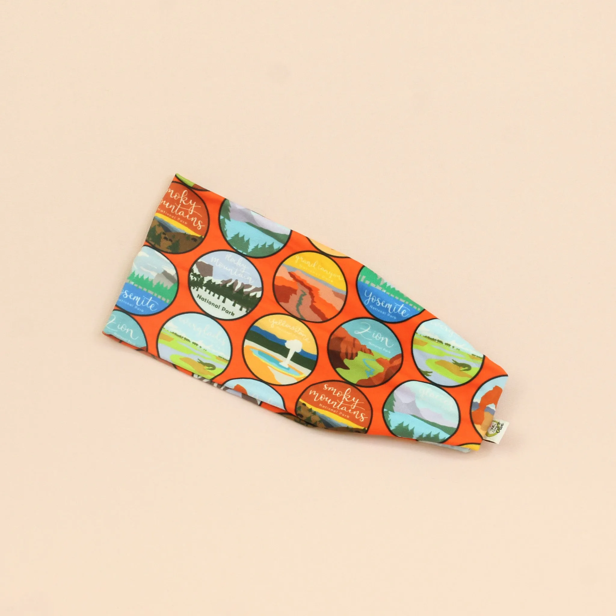 National Park Pass Stretch Headband