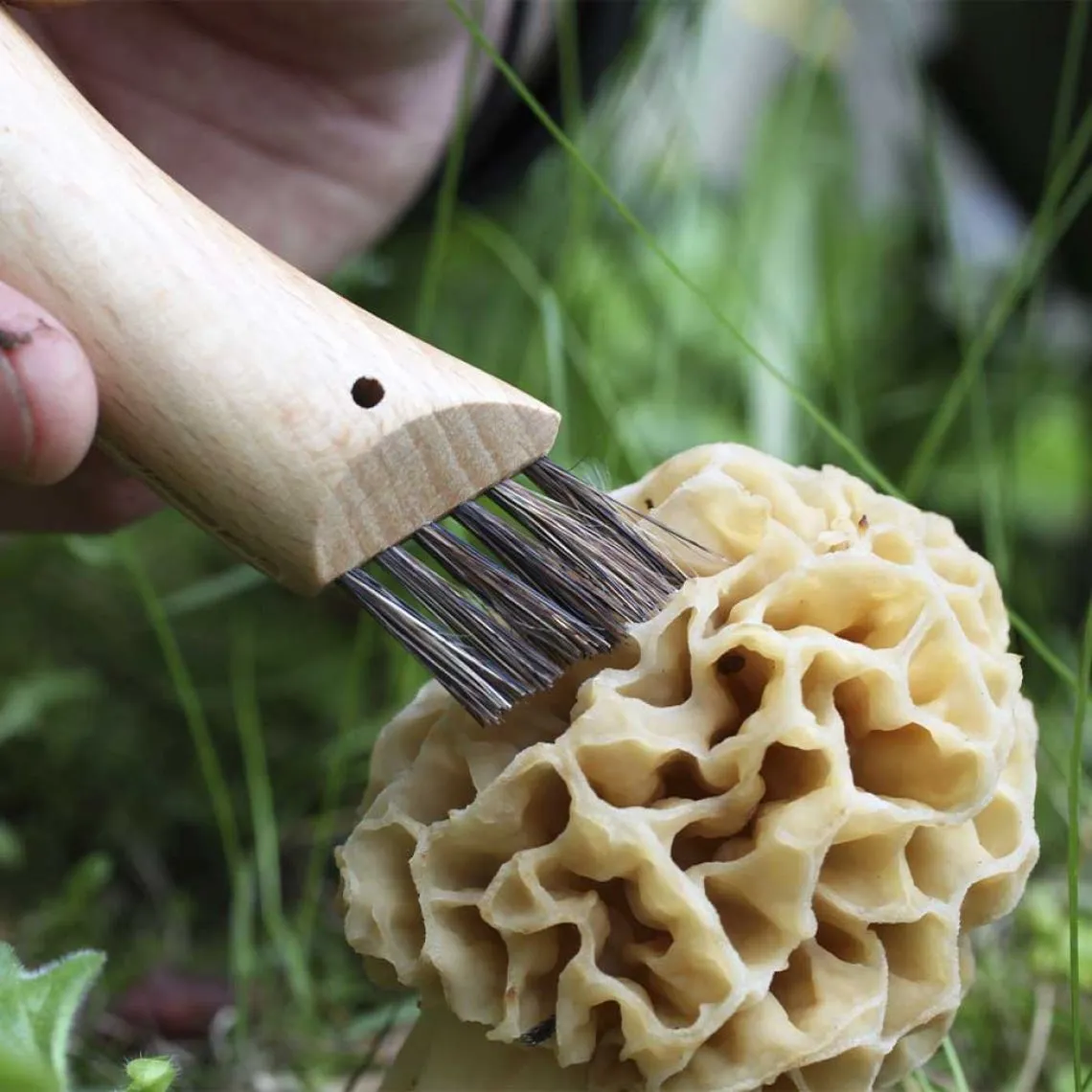 Opinel Couteau Champignon