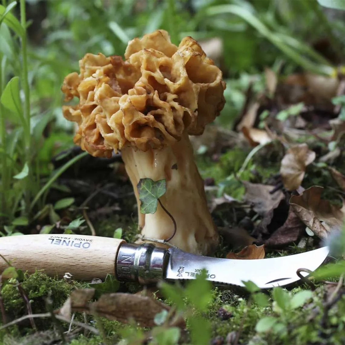 Opinel Couteau Champignon