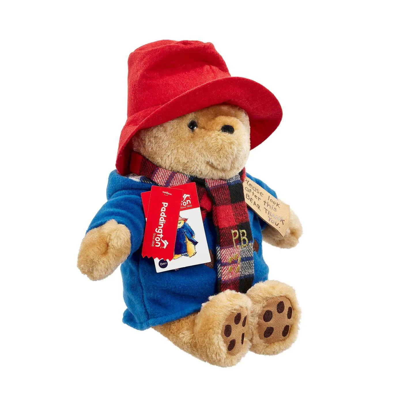 Paddington with Scarf