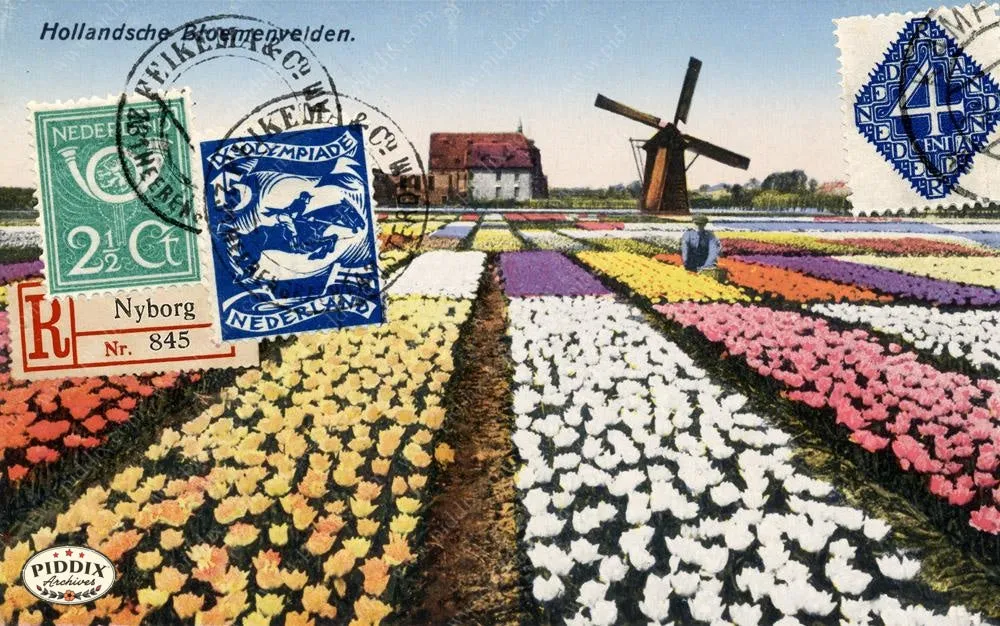 PDXC8462 a & b -- Travel Postcards