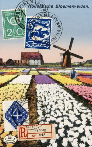 PDXC8462 a & b -- Travel Postcards
