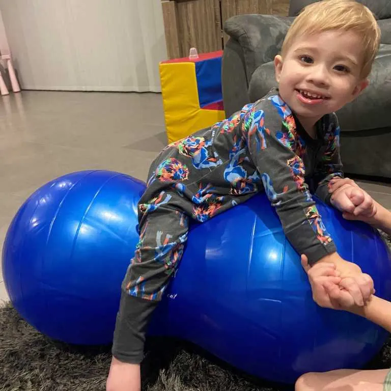 Peanut Gym Ball