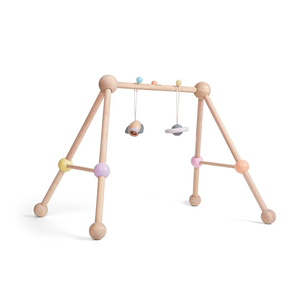 Play Gym