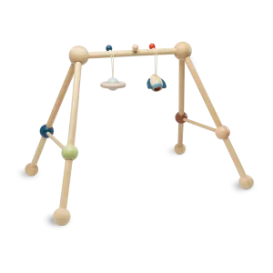 Play Gym