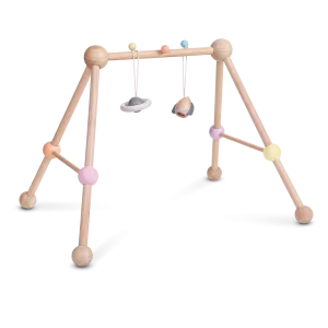 Play Gym