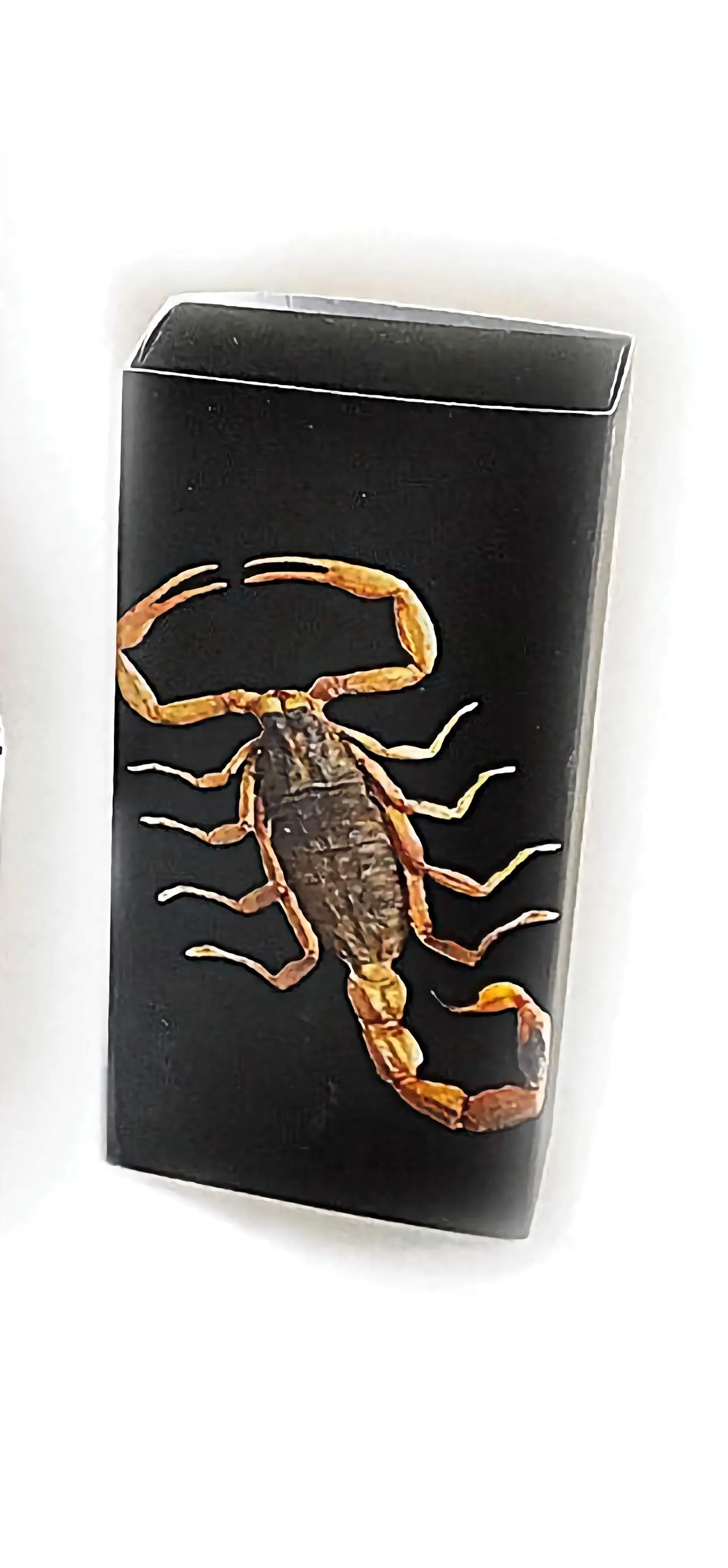 Real Bark Scorpion Keychain Teardrop Shape Blue Real Nature Gift