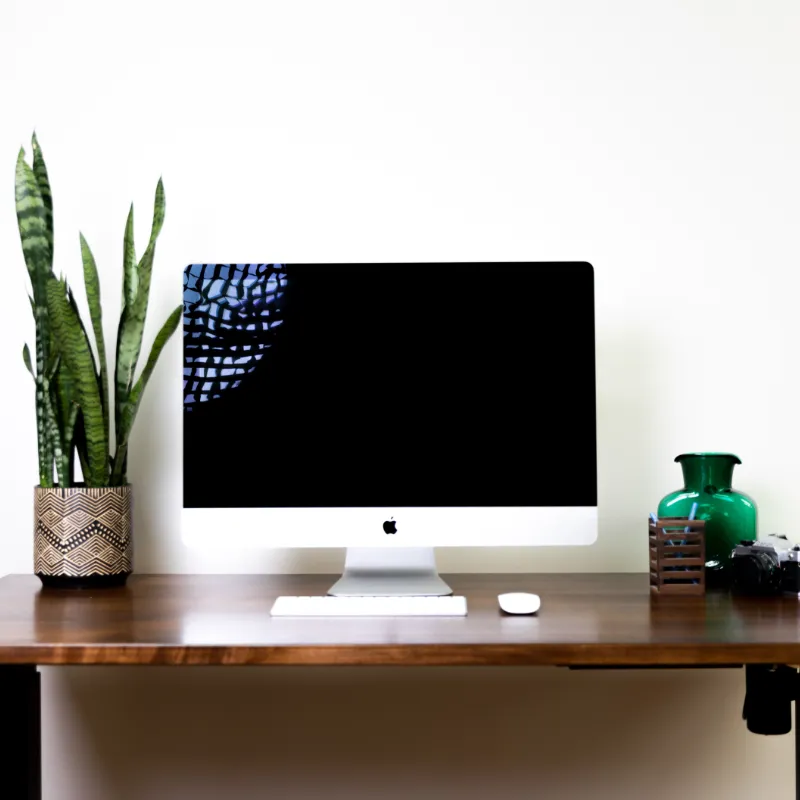 Sit/Stand Desk