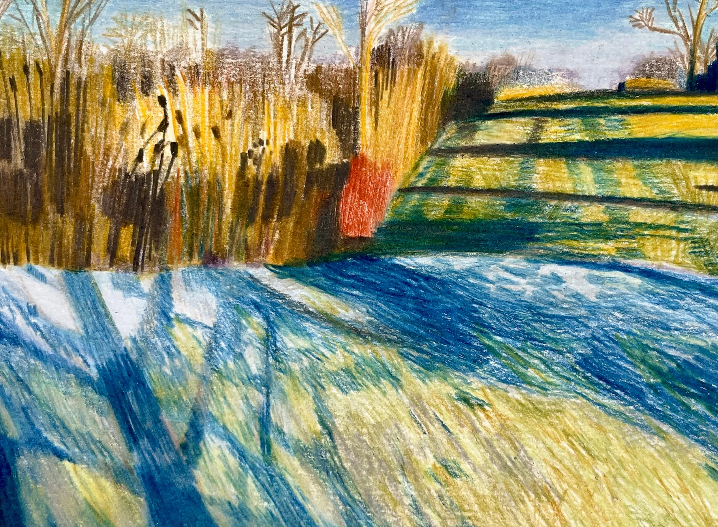 Snow Field