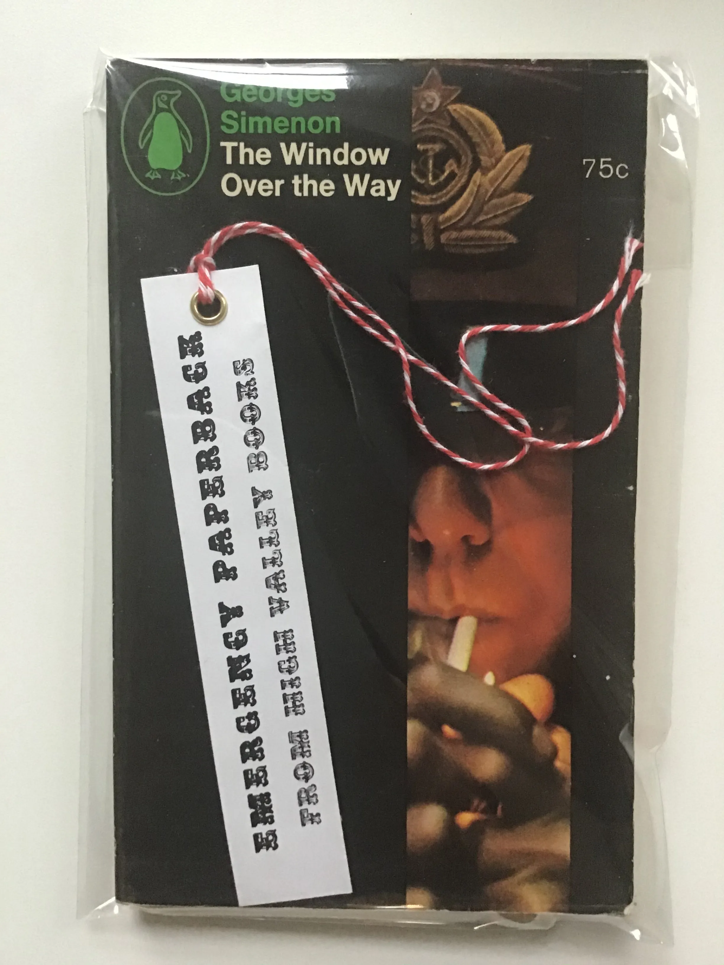 The Window Over the Way by Georges Simenon