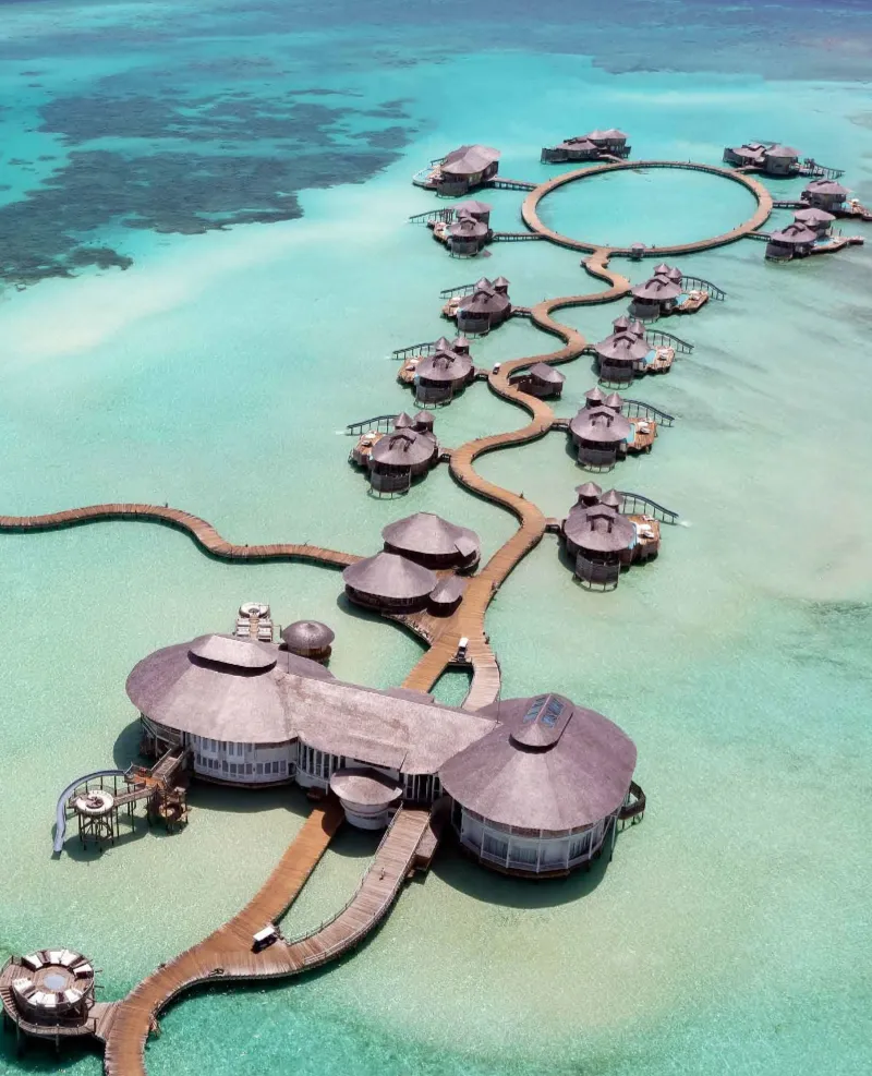This Must be Paradise