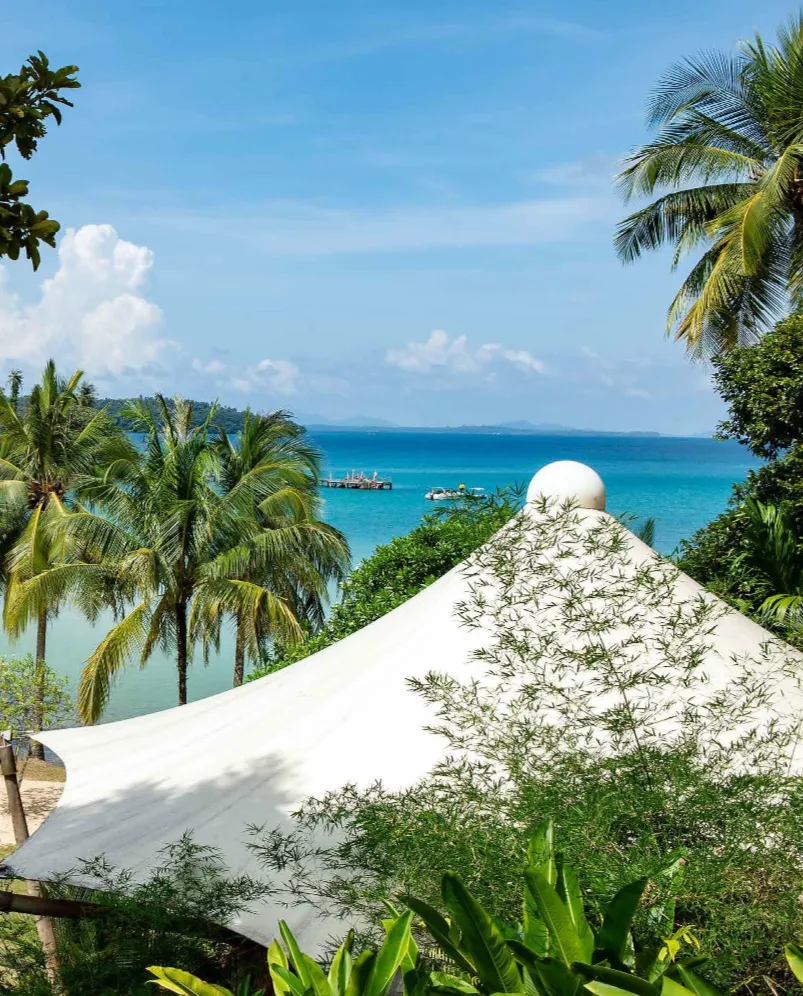 This Must be Paradise