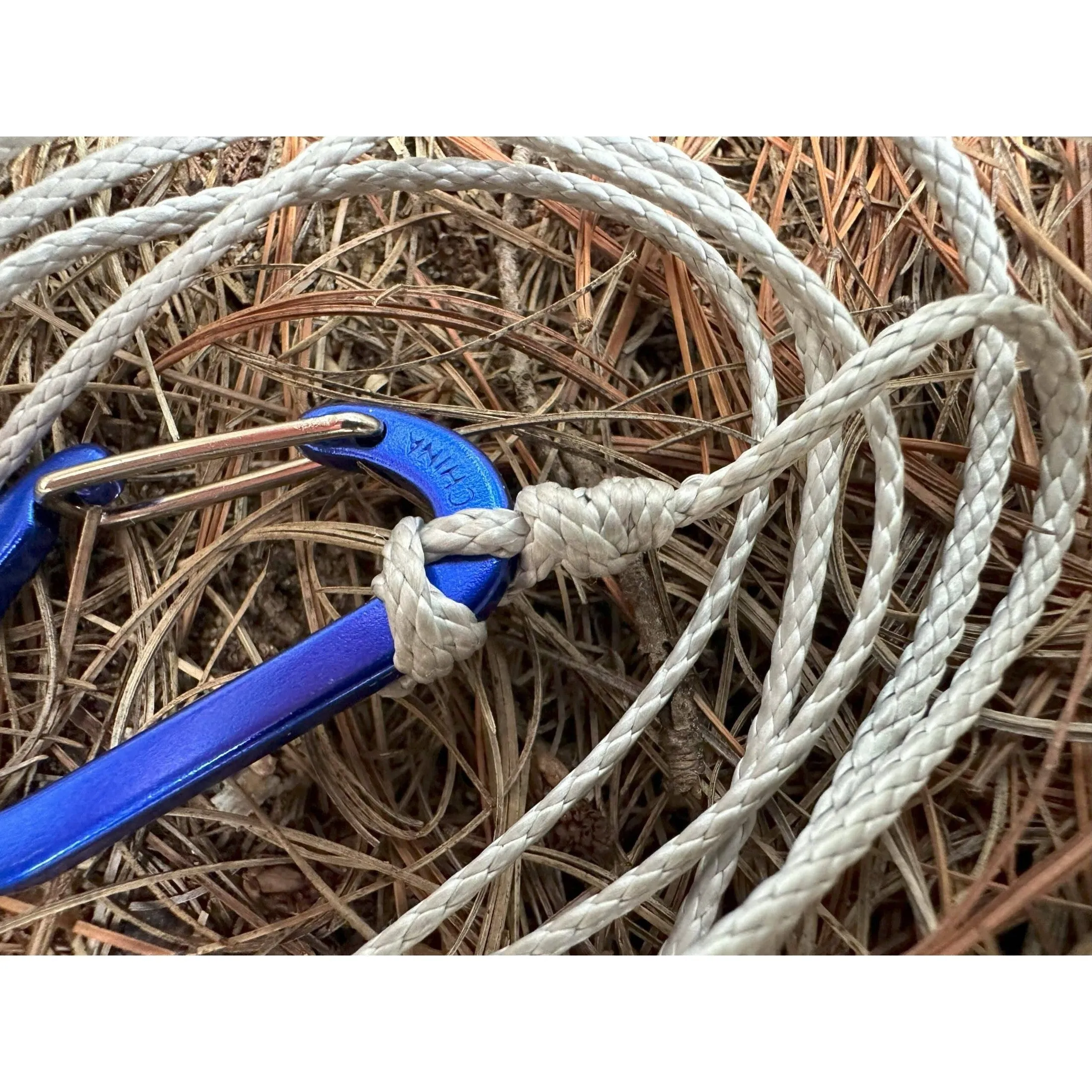 Ultralight Dog Leash