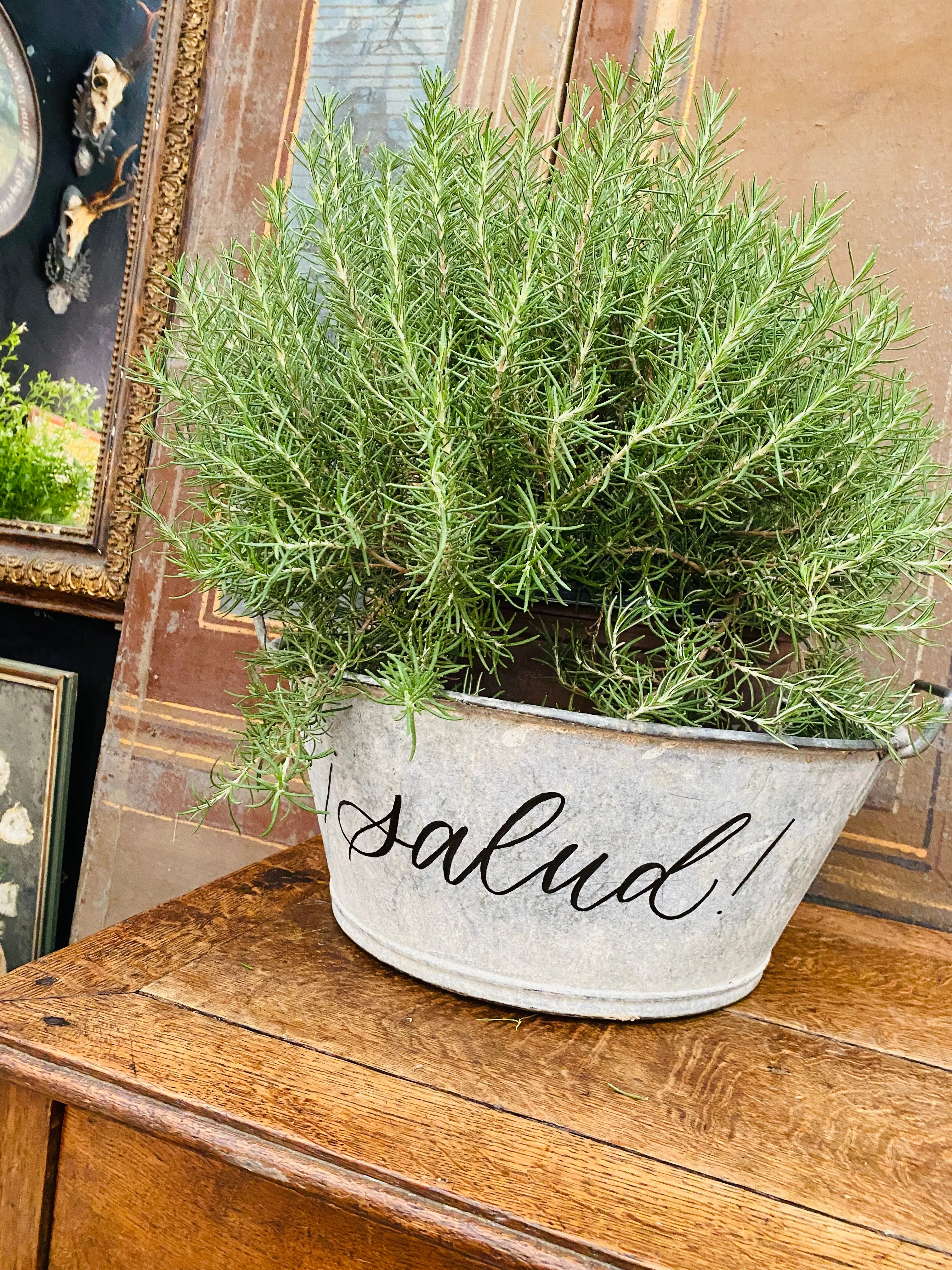 Vintage French Zinc Bucket with Custom "Salud" Calligraphy