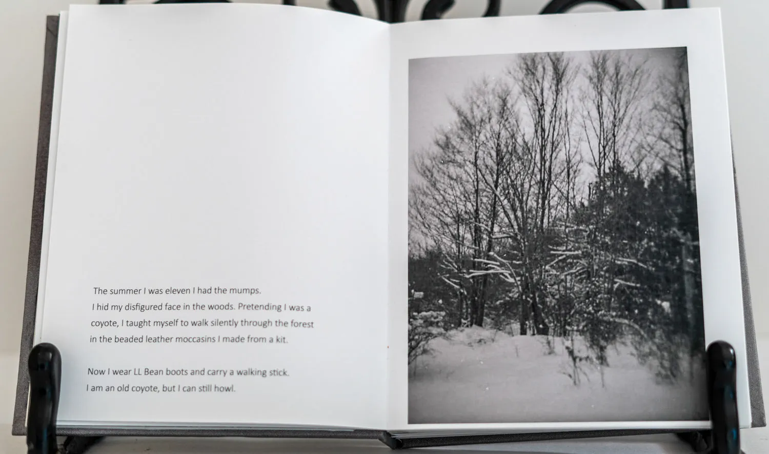 Winter Woodswalk by Judith ODell