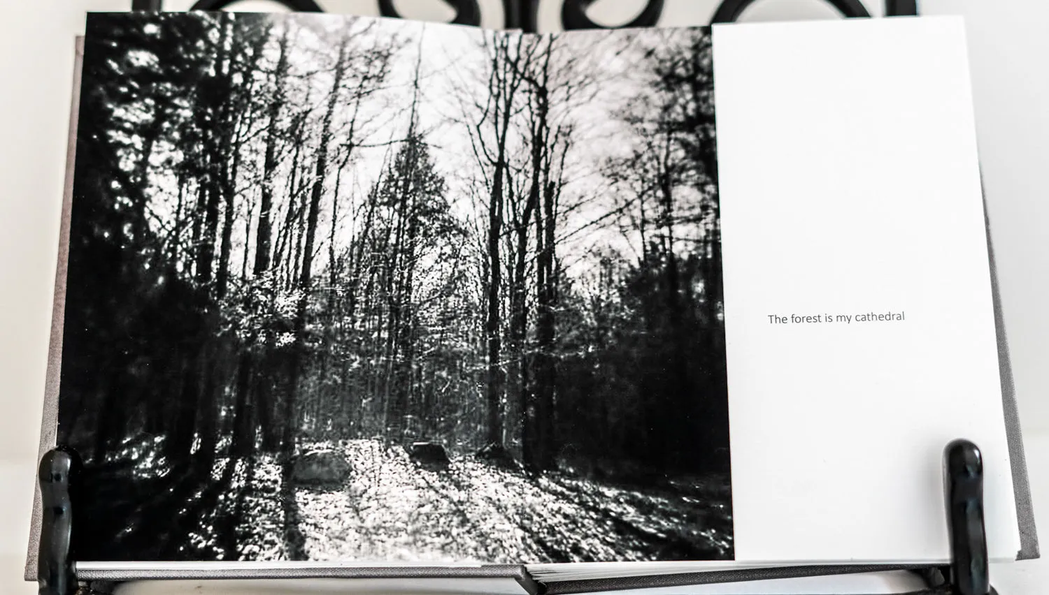 Winter Woodswalk by Judith ODell