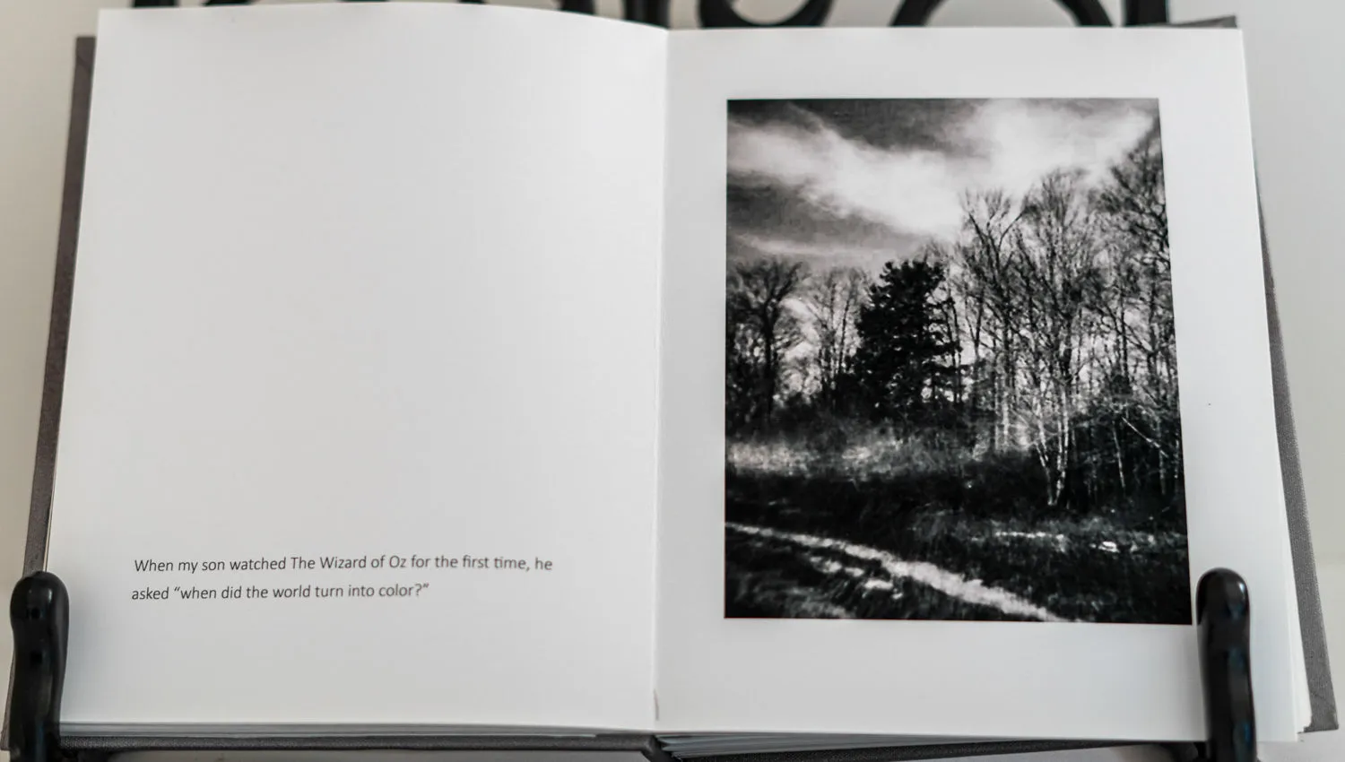 Winter Woodswalk by Judith ODell