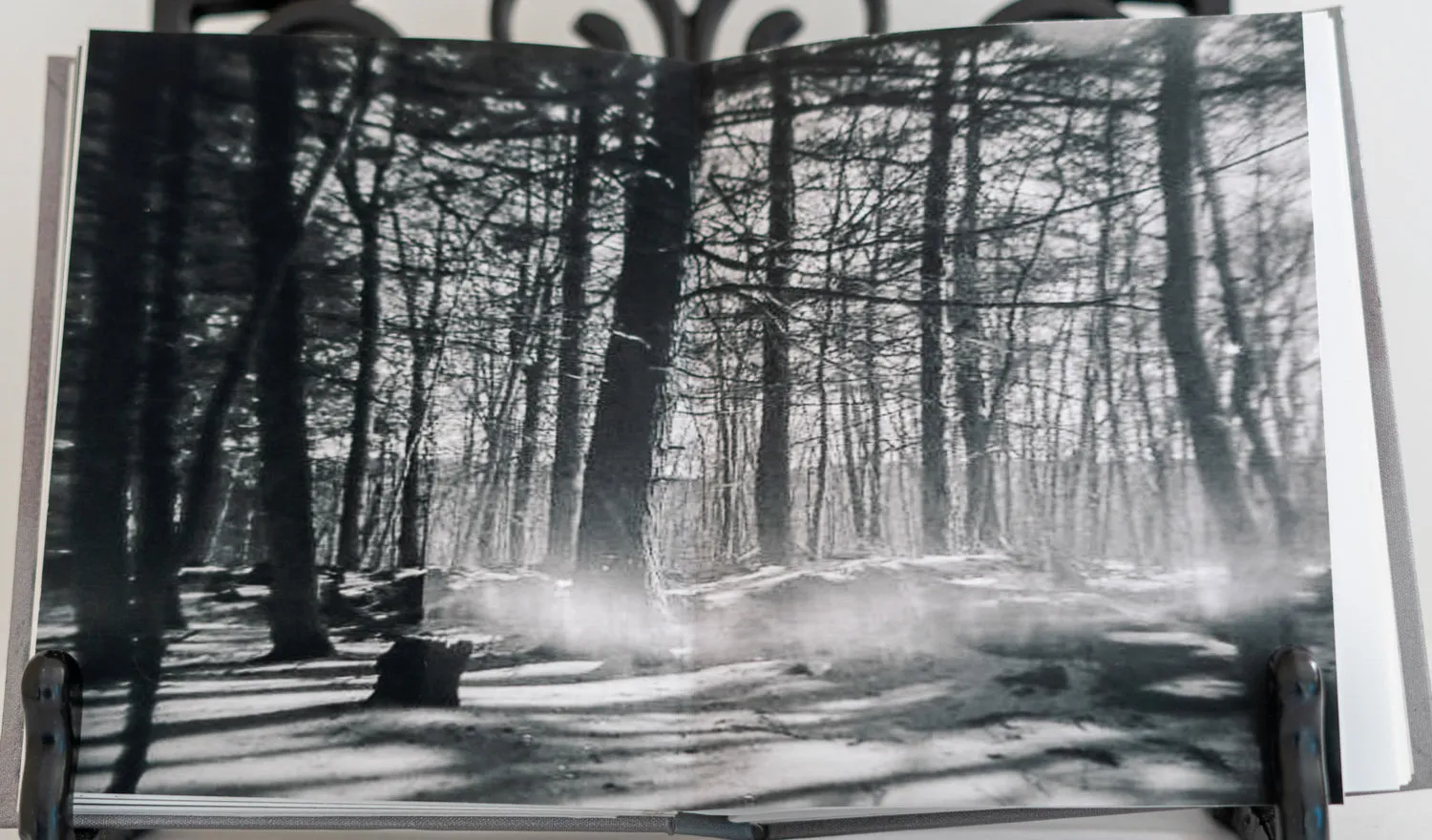 Winter Woodswalk by Judith ODell