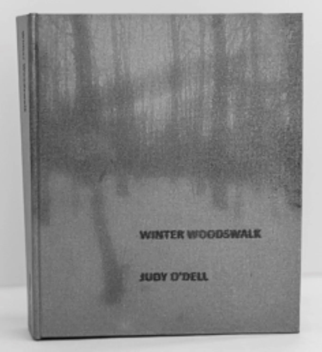 Winter Woodswalk by Judith ODell